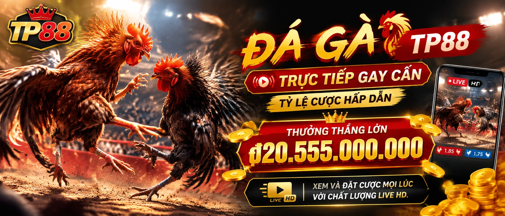 Đá Gà trực tiếp trên mobile